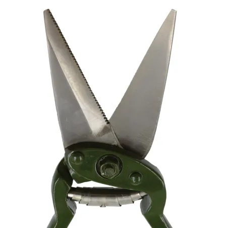 Cisailles à onglons mouton