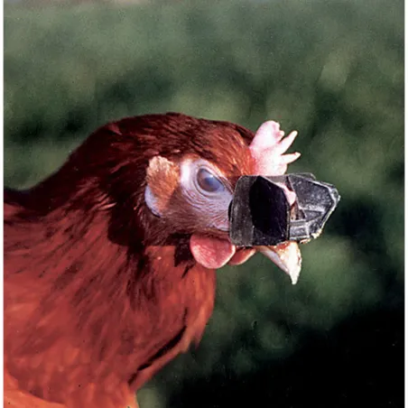 Antipicage Speed-lune par lot de 5