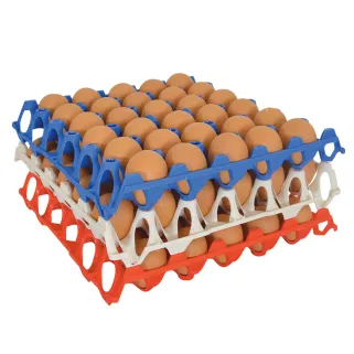Plateau oeufs plastique empilable 30X30 CM alimentaire lot de 10