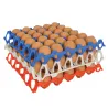 Plateau oeufs plastique empilable 30X30 CM alimentaire lot de 10 conditionnement oeufs
