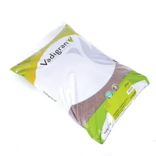 Graines de lin VADIGRAN dépoussiérées 4kg