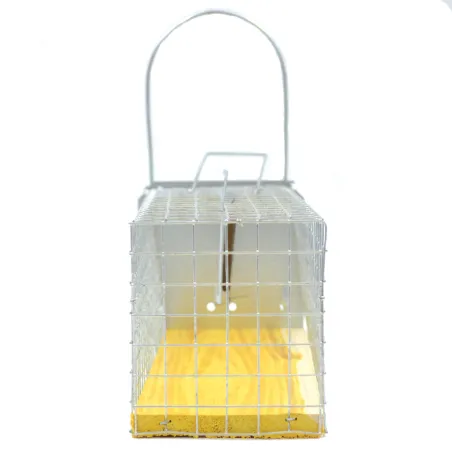 Piège cage à rat 1 entée 235 x 80 x 100 mm