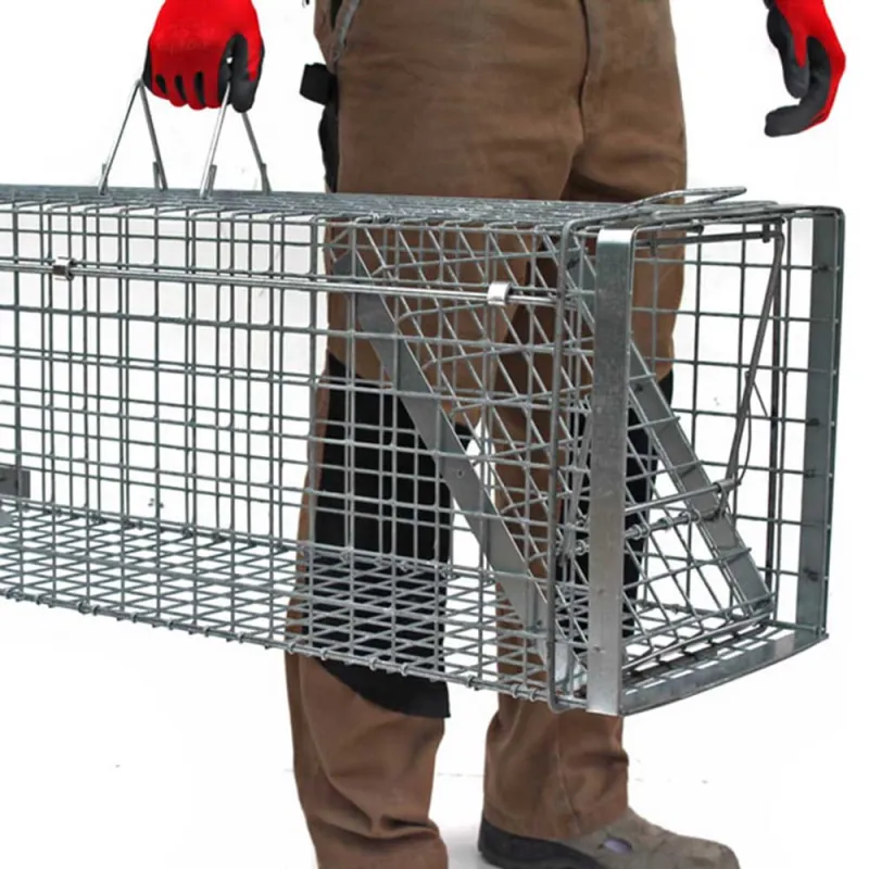 Cage-piège Hardy 3 ressorts trappe 60° 102x34x34cm