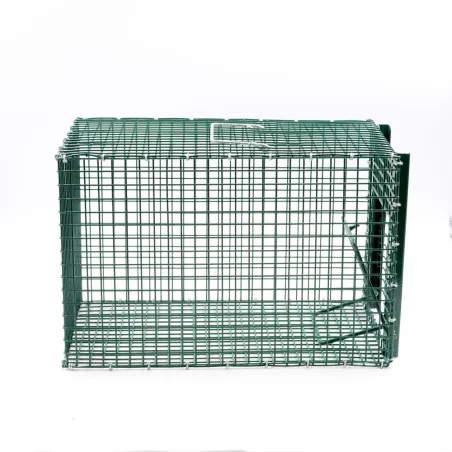 Piège à pie grillage soudé galvanisé individuel 21x31x21cm