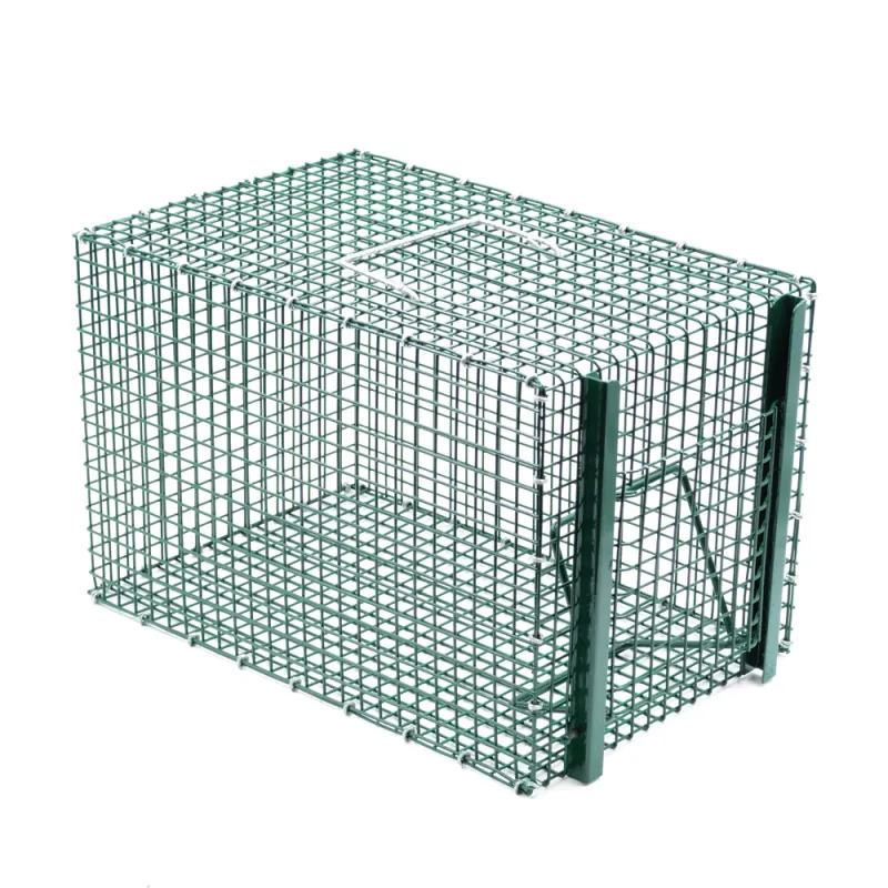 Piège à pie grillage soudé galvanisé individuel 21x31x21cm