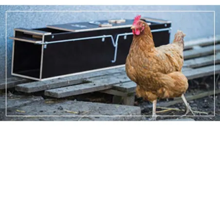 Piège boite à fauve bois 2 entrées ouverture 119x19x24