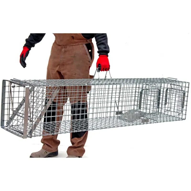 Cage-piège Hardy 3 ressorts trappe 60° 140x34x42cm