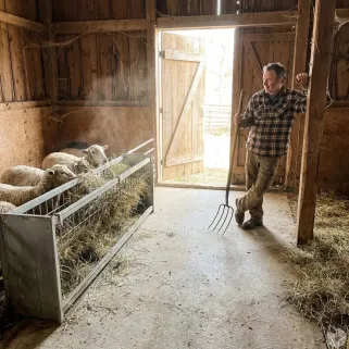 Mangeoire Ratelier mural ovins caprins 207 x 32 x 60 cm