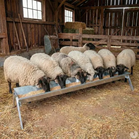 Mangeoire linéaire galvanisée moutons brebis chèvres