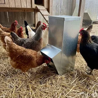 Mangeoire à trémie galvanisée 7 kg 17 x 18 x 39 cm