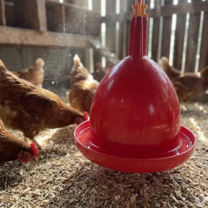 Abreuvoir poules et volailles automatique à suspendre