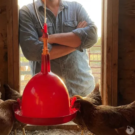 Abreuvoir poules et volailles automatique à suspendre