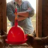 Abreuvoir poules et volailles automatique à suspendre