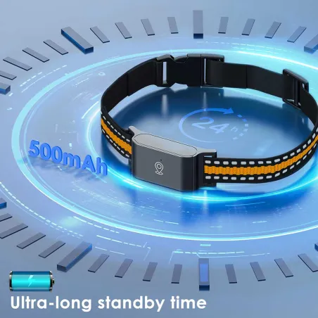 Collier traceur GPS 4G pour animaux chien - IP65 - Application gratuite