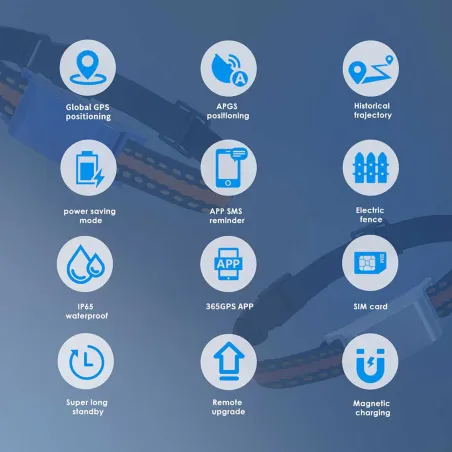 Collier traceur GPS 4G pour animaux chien - IP65 - Application gratuite