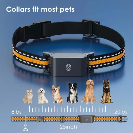 Collier traceur GPS 4G pour animaux chien - IP65 - Application gratuite