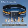 Collier traceur GPS 4G pour animaux chien - IP65 - Application gratuite