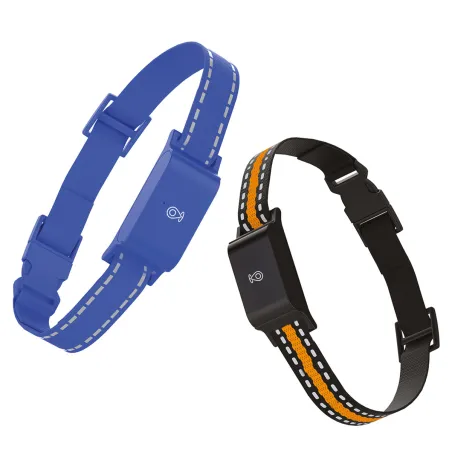 Collier traceur GPS 4G pour animaux chien - IP65 - Application gratuite