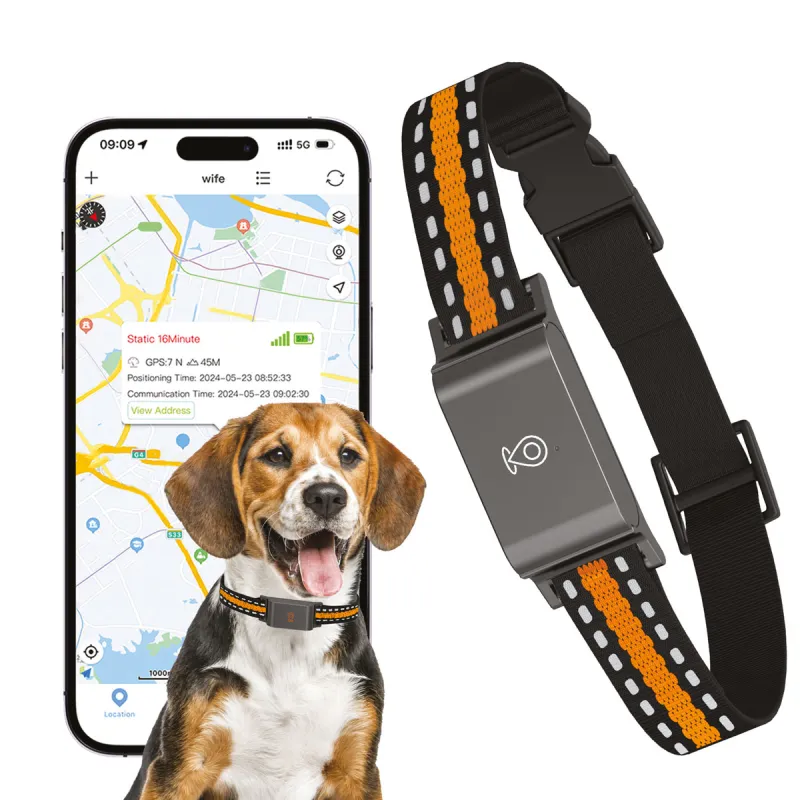 Collier traceur GPS 4G pour animaux chien - IP65 - Application gratuite