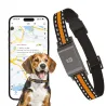 Collier traceur GPS 4G pour animaux chien - IP65 - Application gratuite