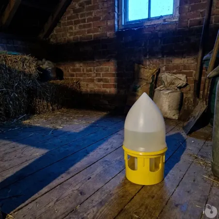 Abreuvoir siphoïde pour pigeons 5L