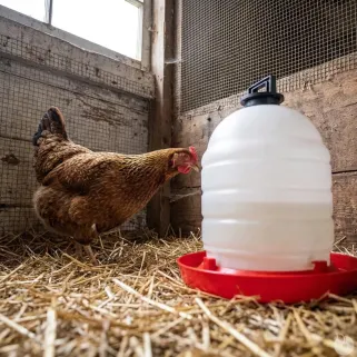 Abreuvoir poules et volailles 15 L River System