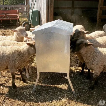 Râtelier mangeoire d'extérieur pour mouton et chèvre 1M