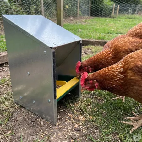 Mangeoire trémie galva 2,5 kg ProFeeder anti-gaspillage