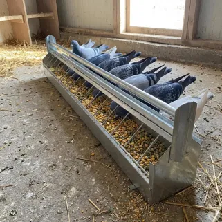 Mangeoire à rouleau pour pigeon 1m