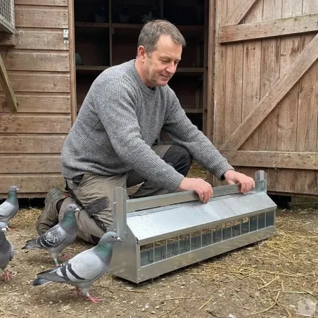 Mangeoire à rouleau pour pigeon 1m