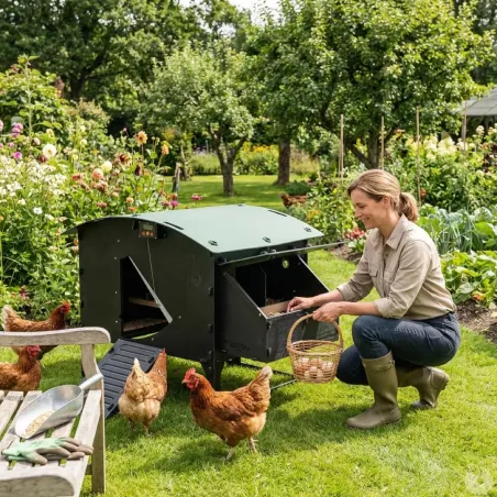 Poulailler sur pieds en plastique recyclé 8 à 15 poules