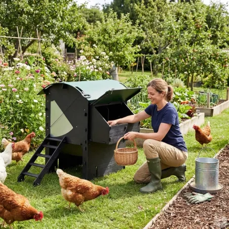 Poulailler surélevé en plastique recyclé 5 à 9 poules