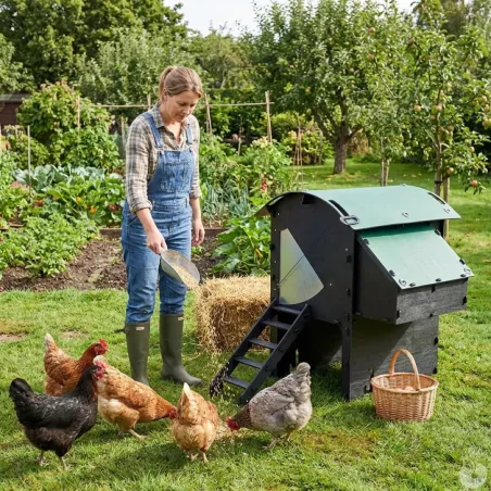 Poulailler surélevé en plastique recyclé 5 à 9 poules