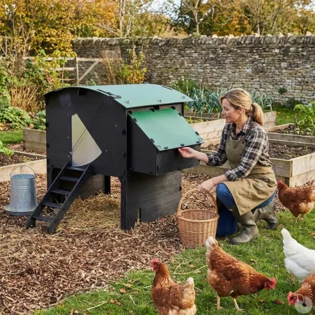 Poulailler surélevé en plastique recyclé 8 à 15 poules