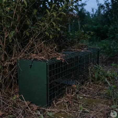 Lot de 10 Cages Renard à Appât robuste en maille carrée 13kg 140x30x35cm