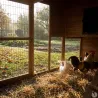 Poulailler Bois 2 étages 10-15 poules 222X115 X200 cm sol PVC