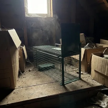 Lot de 5 Boîtes à fauves 1 entrée pour rats 22 x 24 x 61 cm