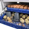 Couveuse automatique Couvitech PRO-136 - capacité 136 oeufs