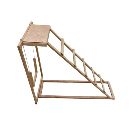 Perchoir poules en bois 1 échelle avec balançoire