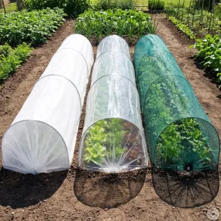 Tunnels de forçage accordéon toutes saisons 4 m 6 arceaux Lot de 3