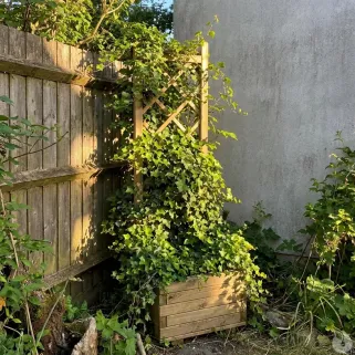 Bac à fleurs en bois avec treillis 40x31x140cm