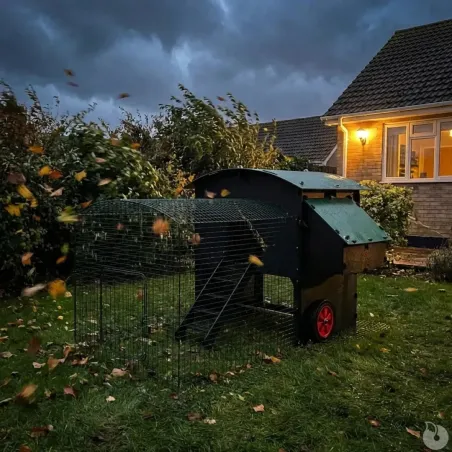 Enclos standard 2m pour poulailler surélevé 8 à 15 poules