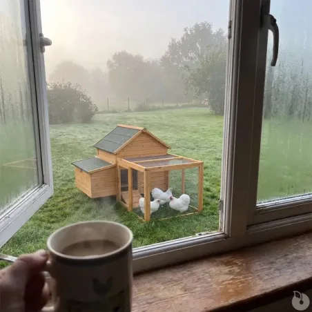 Enclos bois pour poulailler confort 80 X 75 X 60 cm