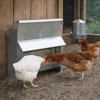 Mangeoire à trémie galvanisée 20Kg 54 x 27 x 51 cm 