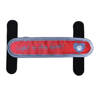 Lanière LED pour collier et harnais - Éclairage sécurisé 3 modes