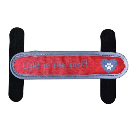 Lanière LED pour collier et harnais - Éclairage sécurisé 3 modes