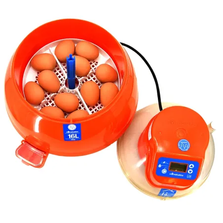 Couveuse automatique Novital Covatutto 16L Pro