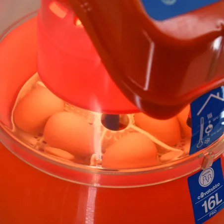 Couveuse automatique Novital Covatutto 16L Pro