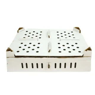 Lot de 25 boîtes transport poussins carton empilables 46 X 60 X 12 cm