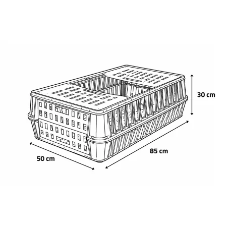 Caisse de transport pour volaille à fond plein
